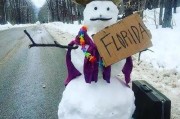 娱乐吃瓜酱堆雪人,揭秘娱乐圈背后的甜蜜与苦涩