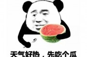 吃瓜表情有什么含义